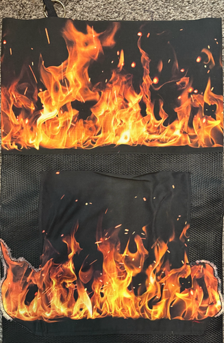 Fire Goes Before Me