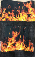 Fire Goes Before Him