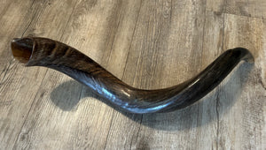 Shofar Yemenite  28"