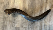 Shofar Yemenite  29"