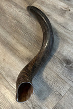 Shofar Yemenite  28"