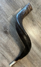 Shofar Yemenite  29"