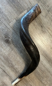 Shofar Yemenite  29"