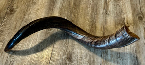 Shofar Yemenite  28"