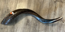 Shofar Yemenite  28"