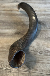 Shofar Yemenite  29"