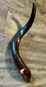 Shofar Yemenite  28"