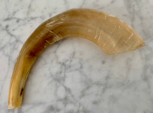 Rams Horn 13" Light