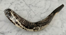 Shofar Rams Horn Large 20"