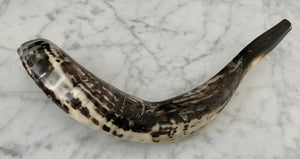 Shofar Rams Horn Large 20"
